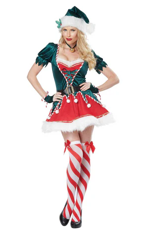 Ladies Santa's Helper Costume